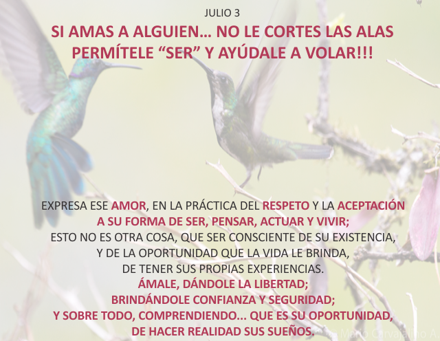 Si amas a alguien... no le cortes las alas permítele 